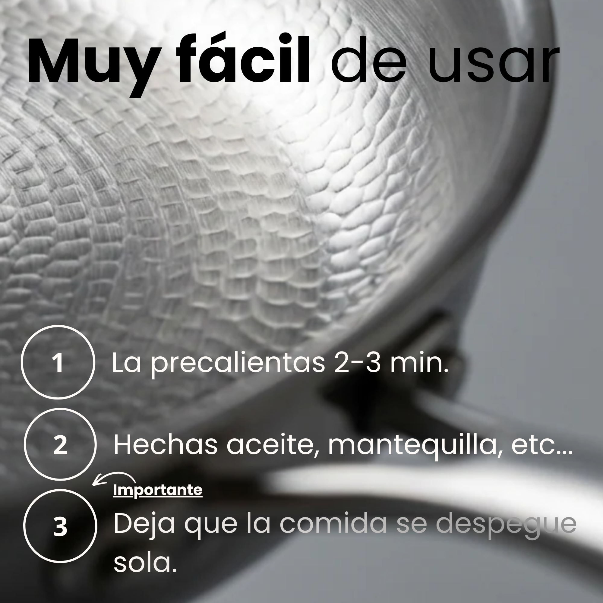 Sartén Puro Titanio Saceroni